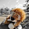 drive4animals-2024-whats 26